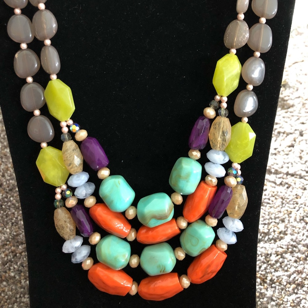 Premier Spring Break - image 1